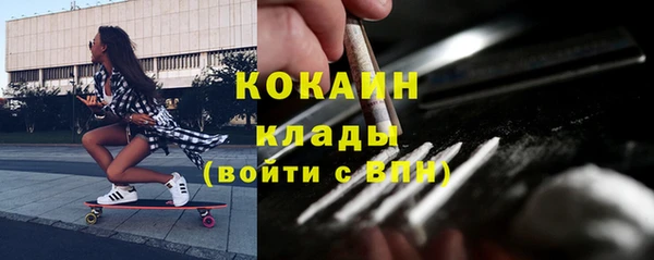спиды Белокуриха